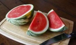 网红店吃瓜,一探究竟的美食之旅